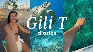 gili trawangan vlog 2024 | snorkelling with turtles, sunset spots + honest impressions