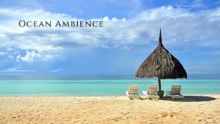 Tropical Beach Ambience - Ocean | Background | Relax