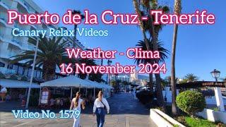 Tenerife ️ Puerto de la Cruz Morning Weather 16 November 2024 Teneriffa