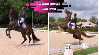 Grand Prix Dressage Horses Gone Wild: Katherine Bateson & Anouk Noordman