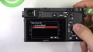 How to Set Up Exposure Compensation on Sony Alpha Cameras?