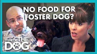 Victoria Storms Out During Fight About Foster Pug | It's Me or the Dog