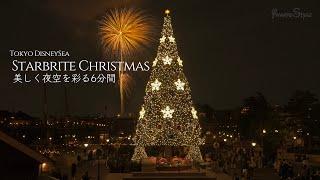 スターブライト・クリスマス : 東京ディズニーシー / Starbright Christmas at Tokyo DisneySea