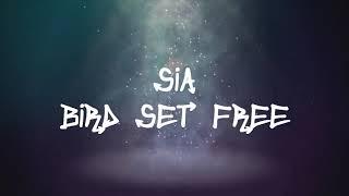 Sia - Bird Set Free (Lyrics)