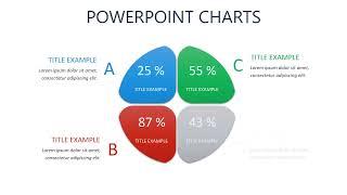 Business User Experience PowerPoint charts : Infographic Presentation