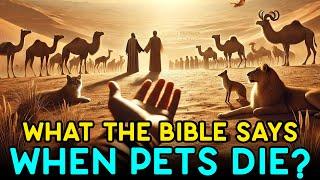 [FULL] What happens when pets die? What the Bible says? - THIS WILL SHOCK YOU!