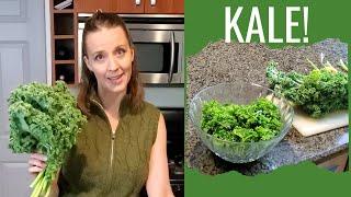 HOW TO PREPARE RAW KALE. New to kale? Learn how to eat kale from a registered dietitian.