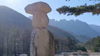 강원도 미시령 기도신점상담 (용한점집.용한신점.용한무당.양천구점집.진짜무당. 용한신점)