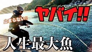 【神回】ごく普通の堤防であり得ない大物！釣り人生40年の最大魚を釣ってしまった‼️