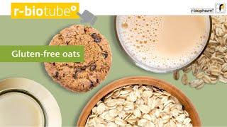 Gluten-free oats: how to ensure safe oat products