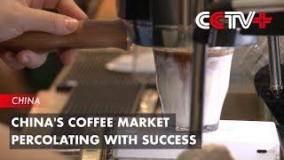 China’s Coffee Market Percolating with Success