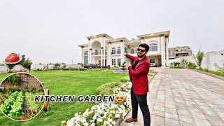 Most Practical Farmhouse | Fruit Trees | Flowers | Kitchen Garden | 9 Kanal Multi-Orchard سستا ترین