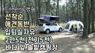 온수사용/솔밭/바다 앞 캠핑/봄 캠핑/카라반 캠핑카 차박 텐트/애견동반캠핑/Spring Camping