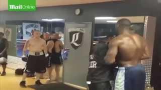 Deontay Wilder Knocks Out Internet Troll Charlie Zelenoff In Real Life