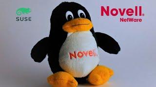 Novell: The Rise and Fall of a Software Giant