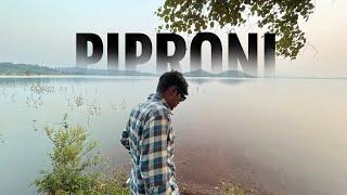 PIPRONI 