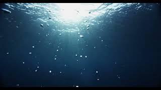 4K Bubbles rising to surfaces of ocean | Free Stock Video Footage [ No Copyright ]