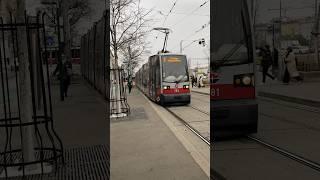 Vienna tram 1 Schottenring stop #tram #viennatram #vienna #austria #viennacity #viennatoday