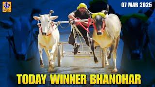 Today Winner | 22.97 | Bhanohar | Ludhiana | Ox Races | 07 Mar 2024 | Khalsaji Tv