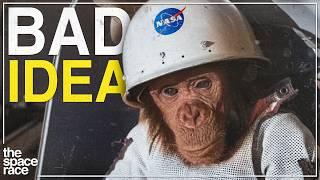 Why NASA Launched A Monkey Into Space