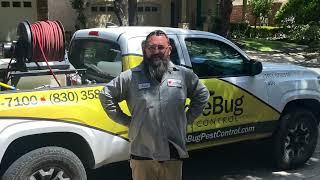 LoveBug Pest Control