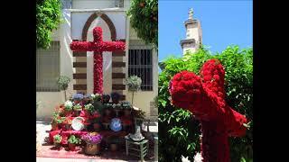 Jaén, Cruces de mayo 2019