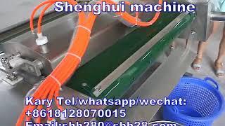 Continuous vacuum packaging machine