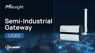 Milesight UG65 LoRaWAN® Gateway