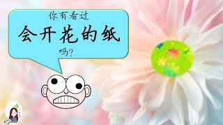 【会开花的纸】简单有趣小活动【吸水能力】