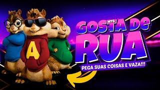 JÁ QUE CÊ GOSTA TANTO DE RUA | Alvin e os Esquilos