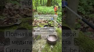 #медитация #исцеляющиезвукиприроды #soundhealing #душа #звукотерапия