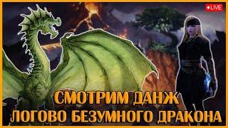 Погнали в Логово Безумного Дракона? | Neverwinter Online | M29