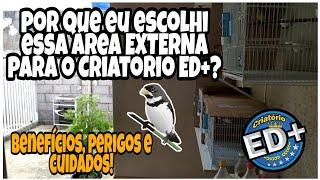 Por que EU escolhi essa área EXTERNA para o CRIATÓRIO ED+?