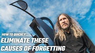 7 Causes of Forgetting & How to Eliminate Them Effectively