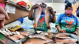 COZUMEL MARKET NO ONE ELSE WILL SHOW YOU !!