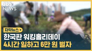 시급 15,000원에 교통비까지… 나도 지원해볼까? (자막뉴스) / SBS