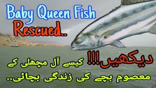 Karachi Fishing 11th July , 2019 | A memorable trip at Sunehra Beach near Charna island.