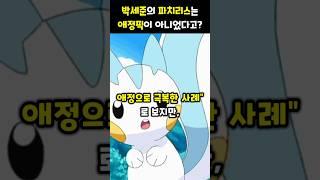 박세준 파치리스에 대한 오해와 진실 #포켓몬