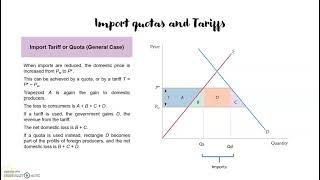 Chapter 2.4.  Import quotas and Tariffs