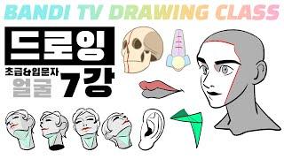 반디쌤과 함께하는 인체드로잉 7강 (얼굴그리기) How To Draw Figures / 사람그리는 법