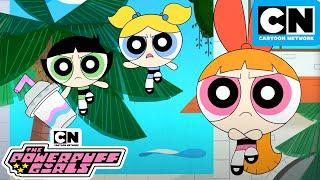 Powerpuff Girls on Vacation | New Powerpuff Girls Compilation | Cartoon Network