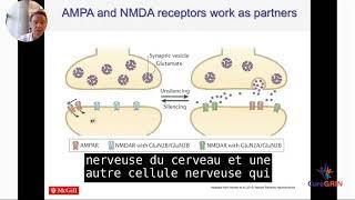 Conférence GRIN 2020 «GRIN / GRIA / GRIK / GRID» Sous-titres en français