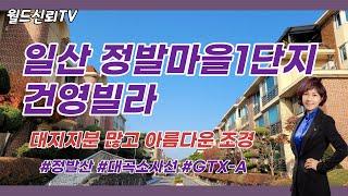 일산 정발1단지 건영빌라,고급빌라,정발산,풍산역,단지자체 산책로이자 공원_월드신뢰 TV_안순옥 공인중개사_is148