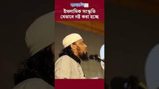 ইসলামিক সংস্কৃতি যেভাবে নষ্ট করা হচ্ছে #abdulhai #islam #lecture #news #jaijaidin