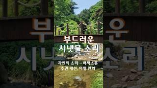 부드러운 시냇물 소리 – 백색소음, 수면 개선, 이명 완화