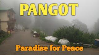 Pangot Village - A very peaceful place [ Nainital ] - Uttarakhand