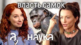 Утки-насильники, гиены - мужененавистницы, сурикатихи-убийцы. Что будет, если мир захватят женщины?