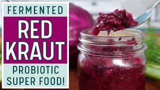 FERMENTED RED CABBAGE SAUERKRAUT - The Best Beginner Friendly Sauerkraut Video Out There!