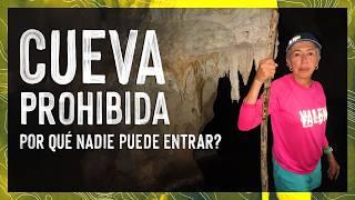 EXCLUSIVE GET TO KNOW THE PROHIBITED MORROCOY CAVE IN VENEZUELA   Valen de viaje