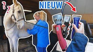 Drie paarden SCHEREN & nieuwe scheermachine TESTEN!